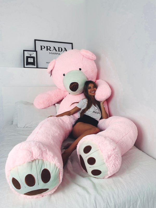 massive pink teddy bear