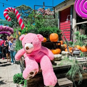 giant teddy bear pink color