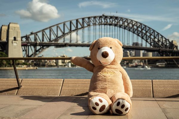 giant teddy bear online shop