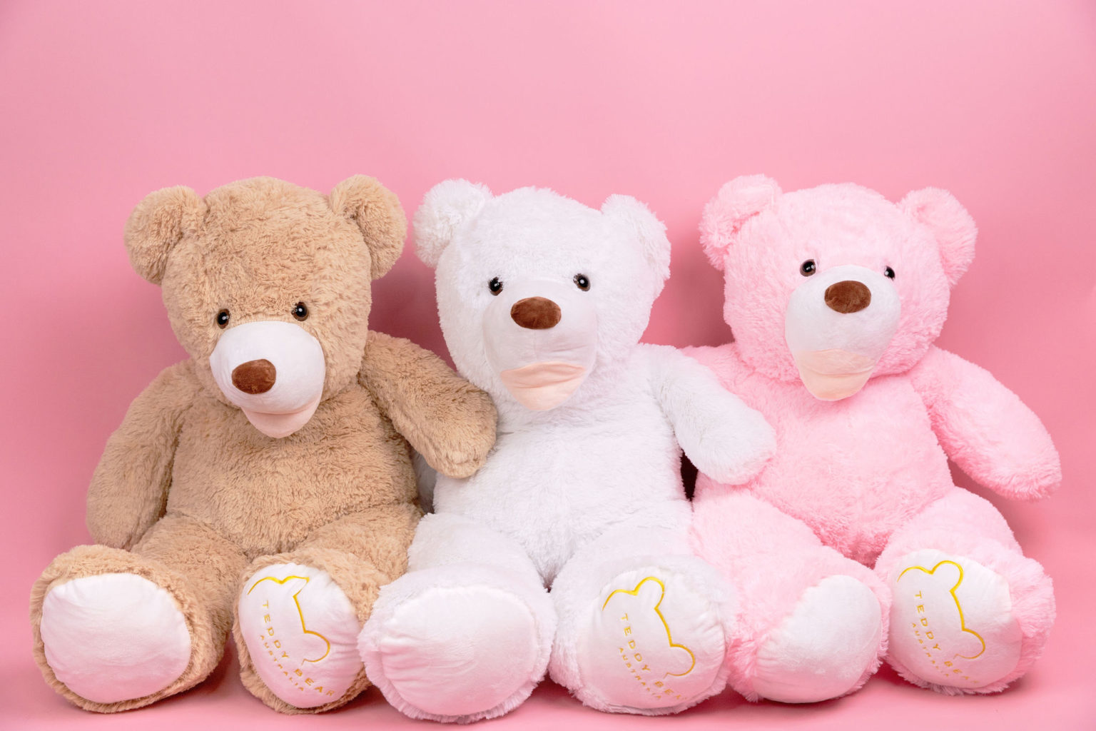 Largest Teddy Bear Surprise. Teddy Bear Australia